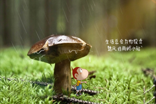 【机构调研记录】湘财基金调研中际联合