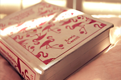 下雨天鸟儿忙碌的生活，探寻鸟儿的雨中行动