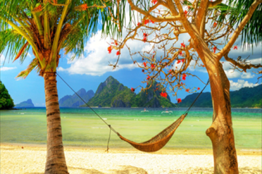 中国光伏产业十年激增与ETF表现，光伏龙头30ETF涨幅达3.35%