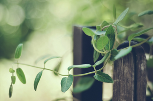 从顺周期到弱周期，板块稳健性与持续性的展望