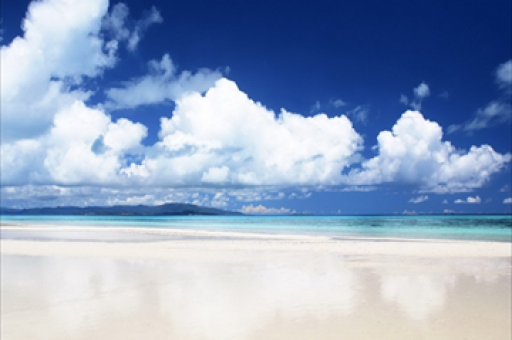 俄罗斯整治行动，坚决驱逐违法外国人