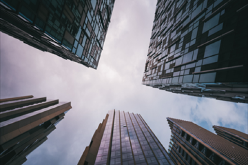 全运会开幕精彩瞬间，广东狮头鹅成瞩目亮点