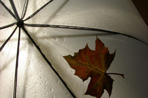 公募基金最新持仓曝光,热门个股备受瞩目