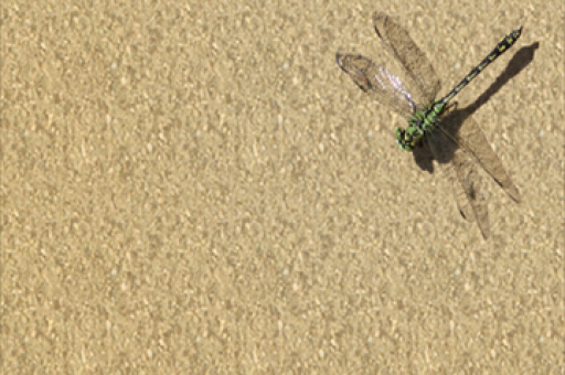 公募调研次数激增，能科科技成调研热门对象