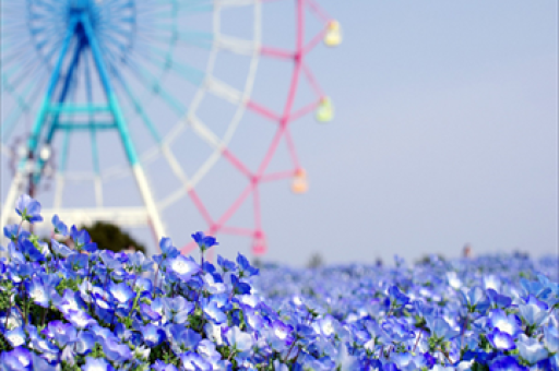 单亲妈妈的鞋垫之路，用嘴绣出生活的希望