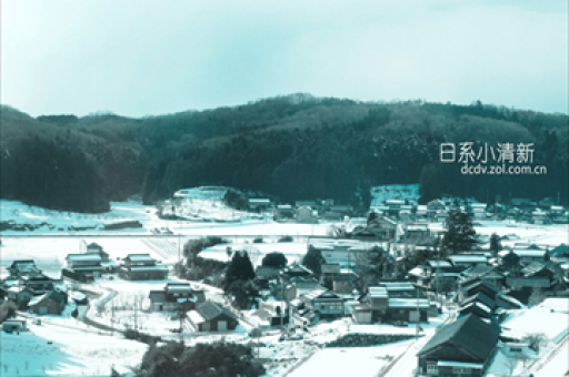 国家队最新ETF持仓数据公布