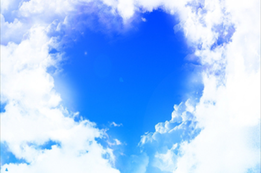 基金参与调研活动，聚焦19家公司的深度洞察（11月6日）