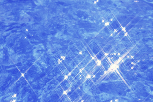 基金年度业绩排位赛胜负手，独门重仓股成关键