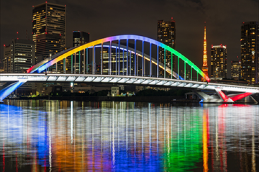 基金经理操作分化，科技股投资态度揭秘——乐观派与谨慎派的博弈