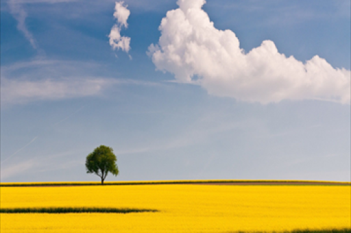 外资公募绩优产品持仓曝光揭秘！