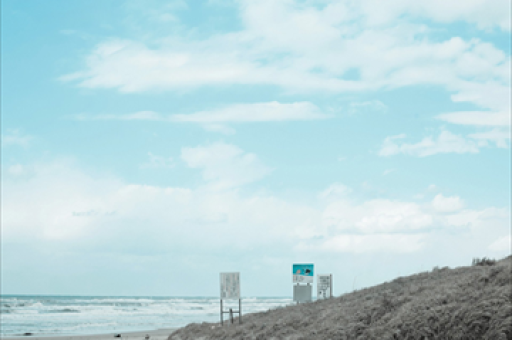 央企战略性新兴产业发展专项基金启动,重点支持人工智能等产业领域发展创新