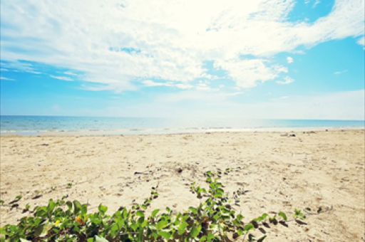 小米股价下跌超三成，高盛称做空小米成对冲基金共识