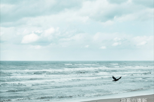 控股股东质押归零背景下，光启技术吸引公募险资的长期配置窗口开启