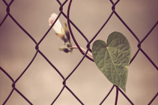 新加坡对诈骗分子采取鞭刑，零容忍态度坚决打击