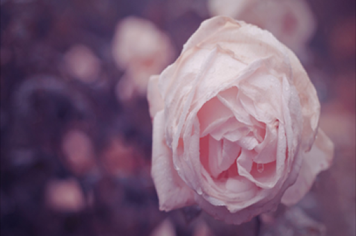 杭州整治淘宝霸屏广告，积极守护用户体验行动