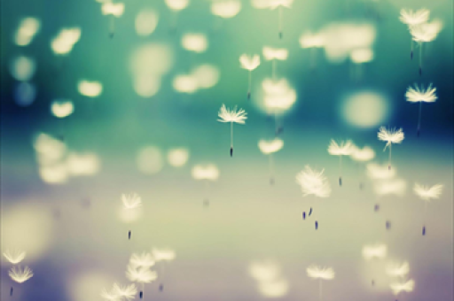 江苏社保科创基金启动，三方共建500亿元合作基金