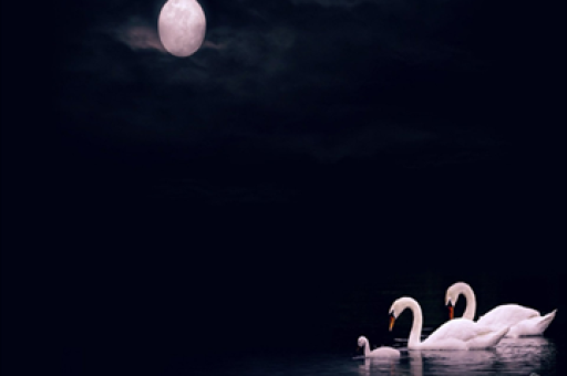 热门产品大举加仓曝光!