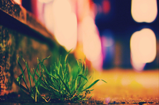 瑞银王宗豪，国际投资者三季度增持中国股票