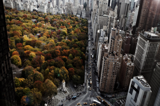 申通快递与菜鸟共同设立吉仓三期投资基金，出资额达十亿