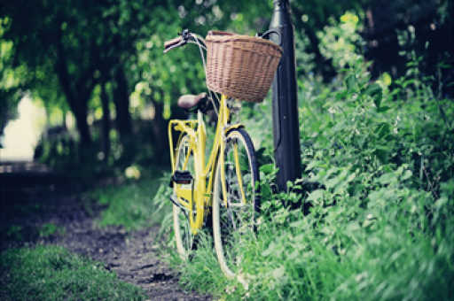 电竞传奇Faker身体状况下滑仍坚守初心，传奇之路继续前行