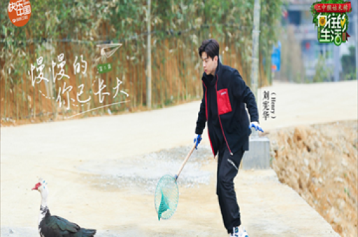 百亿权益基金经理数量突破两百位，市场规模持续攀升