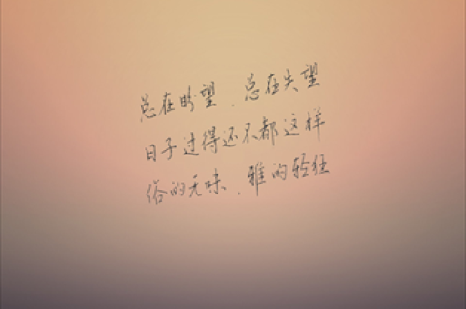 硅谷拼算力，中国拼什么？