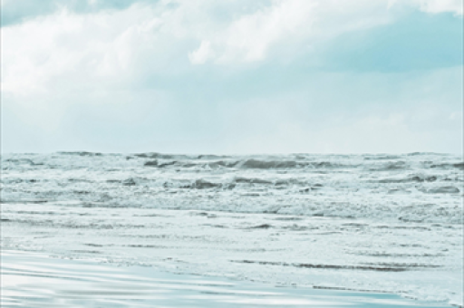 社保基金现身617只个股前十大股东名单