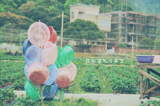 私募仓位突破80%大关，创年内新高