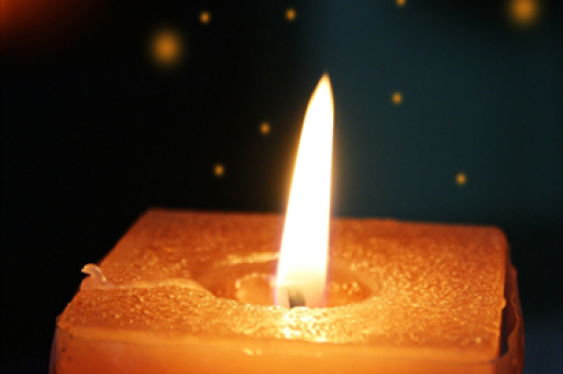 立冬时节，饺子与羊肉汤的温馨对决