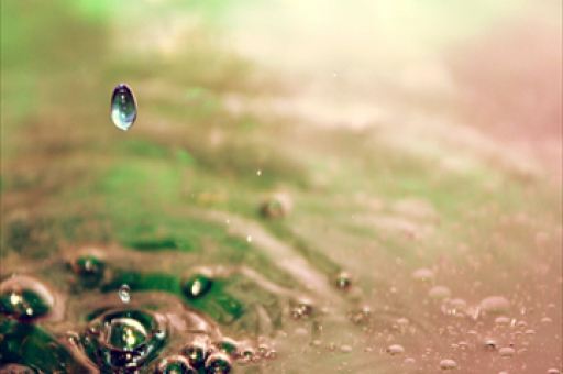 红杉资本成立人工智能新基金，投资规模达9.5亿美元