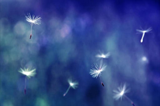 纯银筷子价值解析，十元一对是否物有所值？