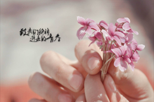 美团澄清：“不惜一切代价”是要反对内卷，低质低价竞争不可持续