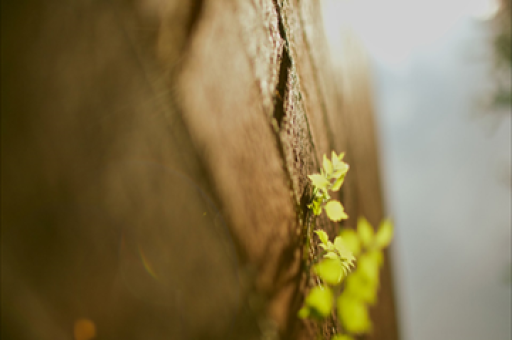 美联储议息会议后黄金股ETF大涨3.75%