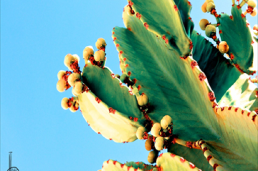 美联储降息推动有色龙头ETF大涨4.58%,机构看好有色为核心慢牛行情品种