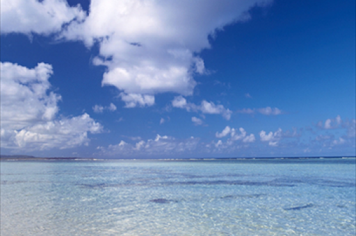 蜂巢添幂中短债债券型基金分红公告发布