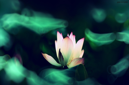 解密中高波固收+策略高手，三季度规模激增超150亿元，吸金秘籍大解密！