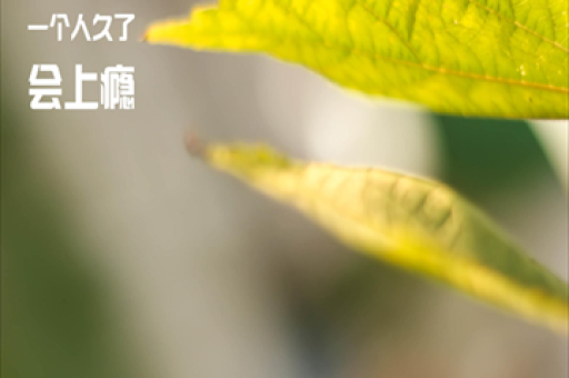 诚通科创基金参与投资设立北矿新能，推动中央企业科技成果转化进程