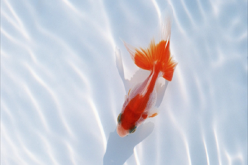 醉驾男子梦中惊现河中漂流之旅