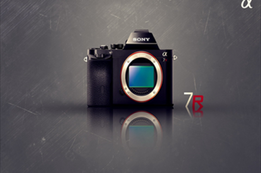 陕西省私募基金报告,九月概览至二〇二五年展望