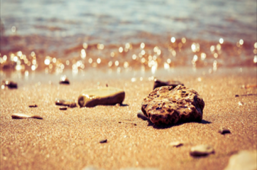 食品饮料行业持仓分析与白酒板块地位探讨